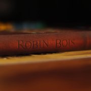 les-aventures-de-robin-des-bois