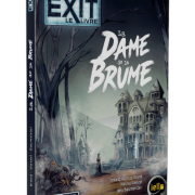 exit-bd-la-dame-de-la-brume