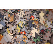 la-foret-puzzle-donjon-500-pieces