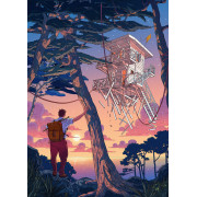 levitation-puzzle-1000-pieces